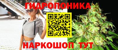 ПСИЛОЦИБИНОВЫЕ ГРИБЫ Свободный