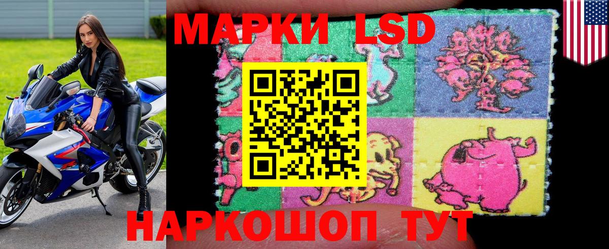 Отрадный  Наркотические марки 1,5мг  продажа наркотиков  Вход с VPN 